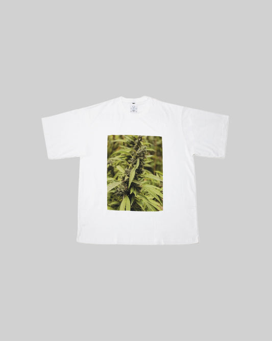 Cotton T-shirt with plant print from Bross Before Hos Boutique, featuring a comfortable fit and botanical design.