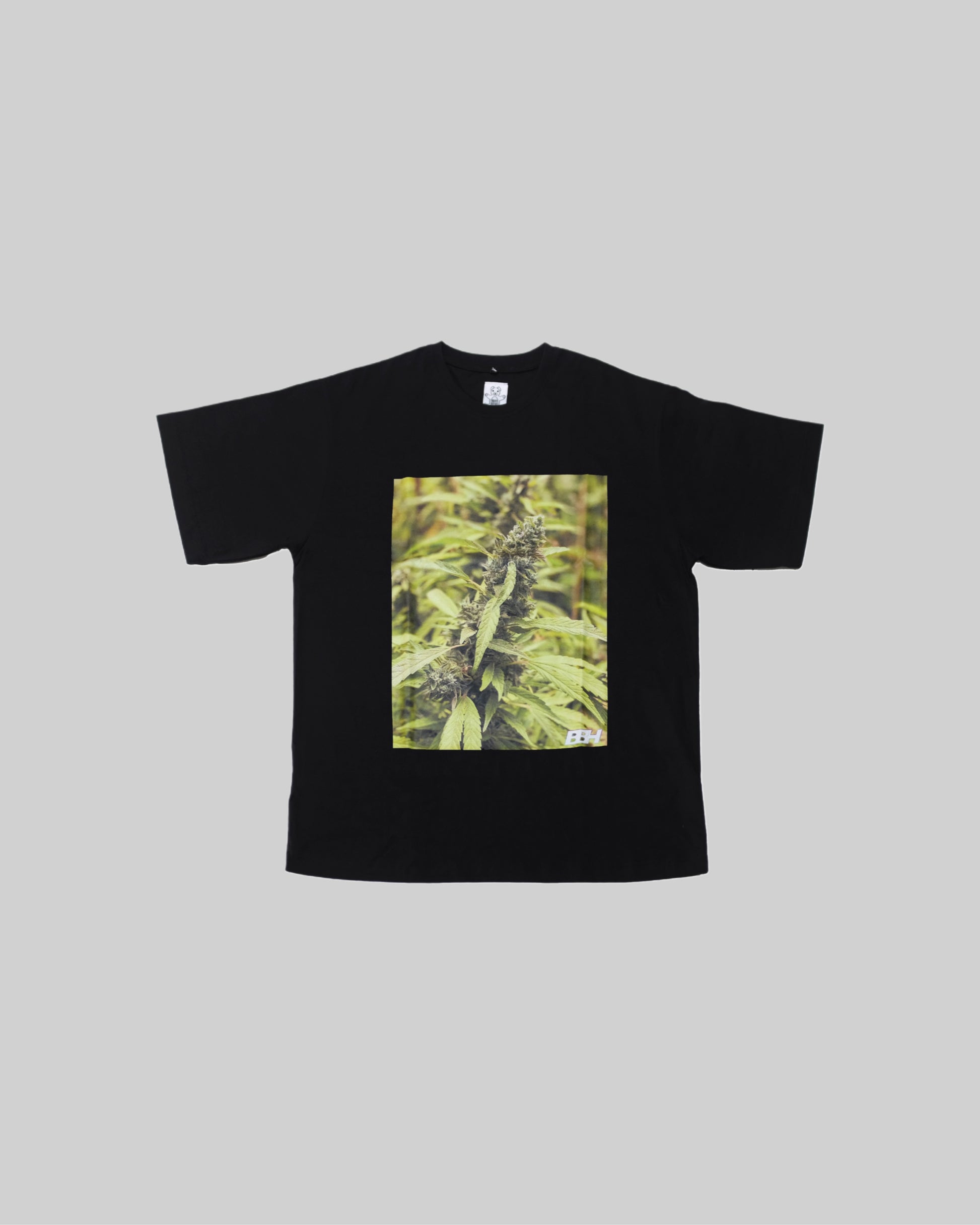 Cotton T-shirt with plant print from Bross Before Hos Boutique, featuring a casual fit and botanical design.