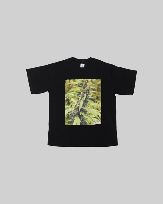 Cotton T-shirt with plant print from Bross Before Hos Boutique, featuring a casual fit and botanical design.
